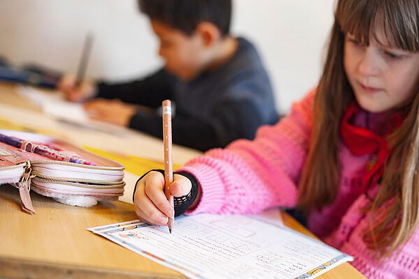 FRISKOLERNE planlægger en ny runde matematikvejlederkurser i skoleåret 2025-2026